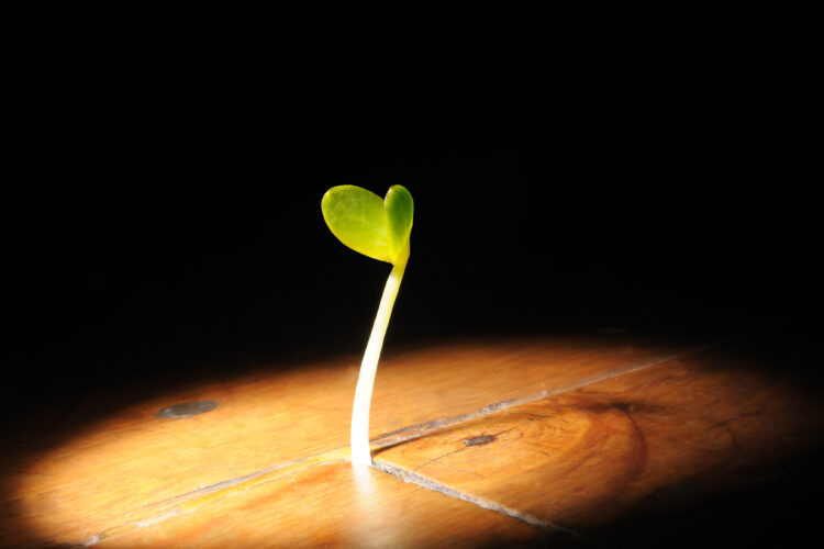 Resilience