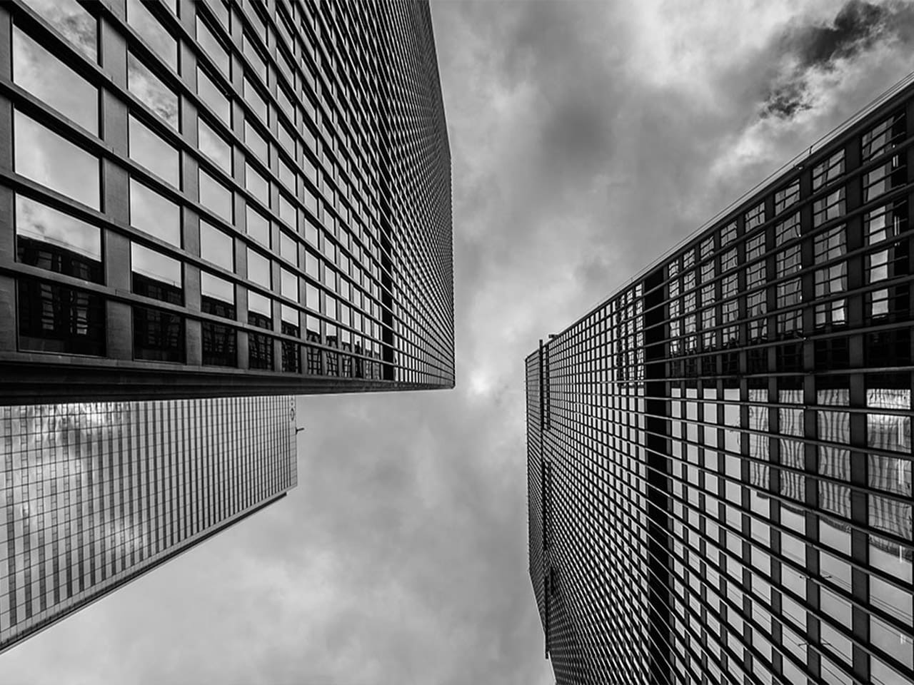 Organizational Resilience
